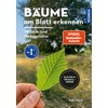 Bäume am Blatt erkennen - 78 Laub- und Nadelgehölze. Blätter