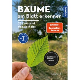 Bäume am Blatt erkennen - 78 Laub- und Nadelgehölze. Blätter in Originalgröße