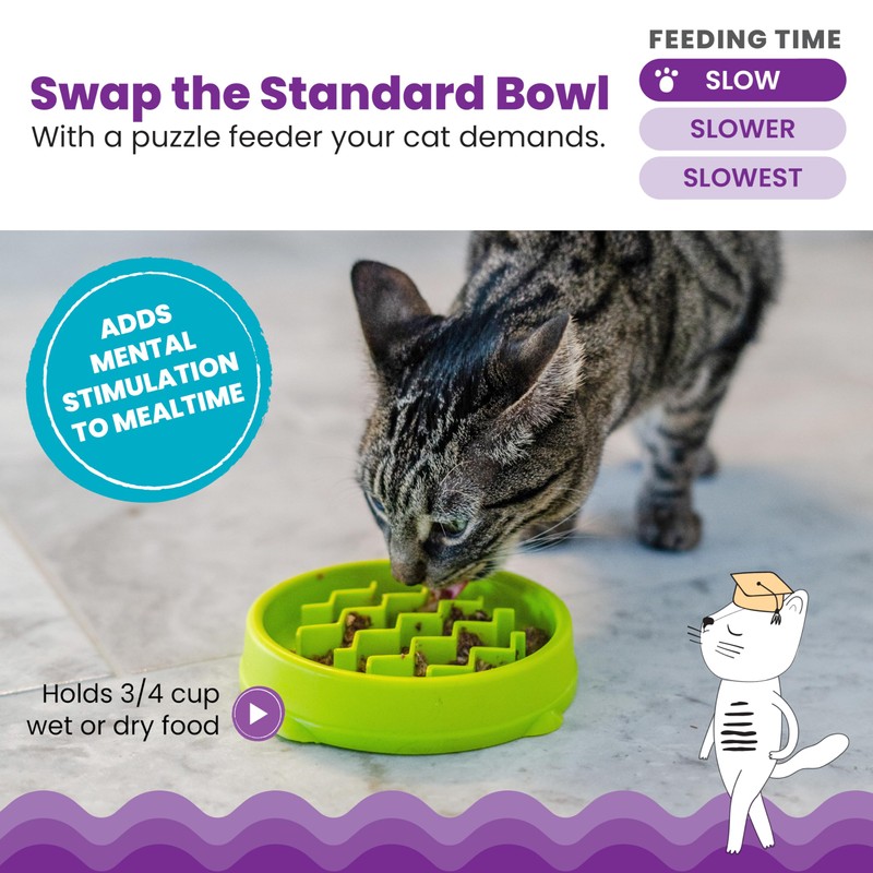Catstages Kitty Slow Feeder Bowl for Cats & Small Dogs,