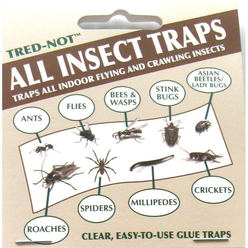 8 pk Economy All Insect Traps/Glue Boards/Window Strips.. Fly, Bees,