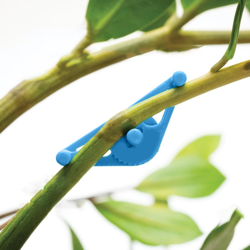 50 Packs Plant Support Clip Branch Reusable Adjustable Stem Trainer