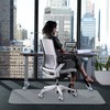 WASJOYE 36" x 55" Office Chair Mat for Carpet, Transparent