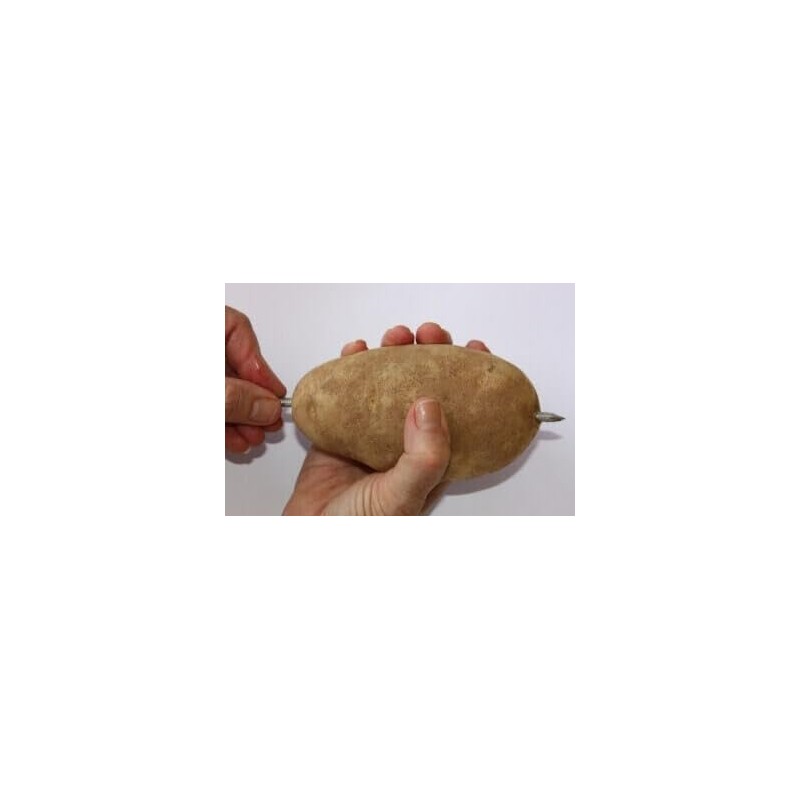 Baking Nails - 8 inch Stainless Steel 4 Pack -