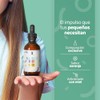 Ally Blend Kids Gotas Meses Consumo Adicionado Vitamina Zinc Life