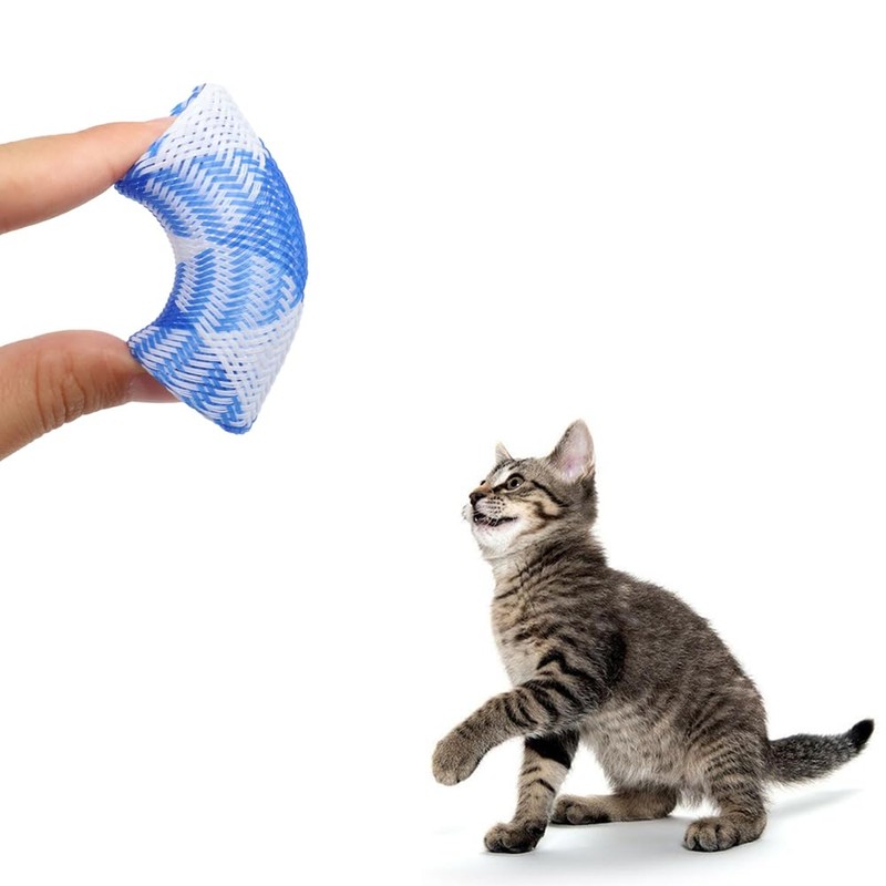 LKCCTK 20pcs Cat Spring Tubes Colorful Spring Toys for Lack