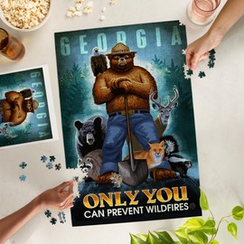 Lantern Press 1000 Piece Jigsaw Puzzle, Georgia, Smokey Bear, Only You Can Prevent Wildfires