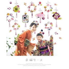 Square Shop Wall Sticker W0088 W0088 11.8 x 53.1 inches (30 x 135 cm), Hinamatsuri, Hanging Hinamatsuri, Hinamatsuri, Peach Festival, Girls' First Festival (Normal Size: Good Matching Wreath)