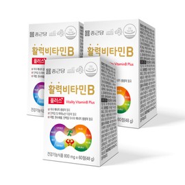 Chong Kun Dang Vitality Vitamin B 60 tablets, 3 x 6 month supply, Niacin B group / 종근당 활력 비타민B 60정 3개 6개월분 나이아신 B군