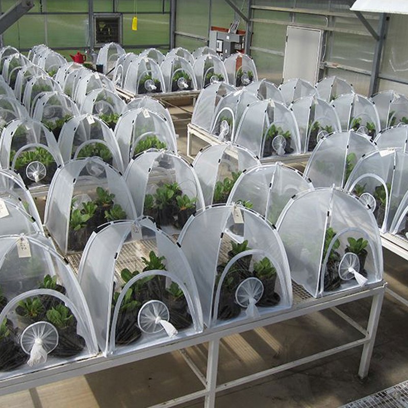 Insect Mesh Cage Greenhouse Reusable Collapsible Mini Plant Butterflies Breeding