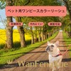 Dog Dog Leash with Integrated Collar Adjustable Leash 1.3m Nylon