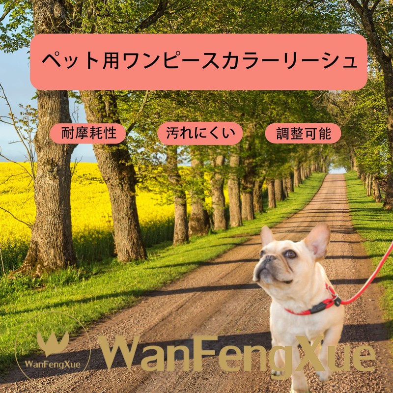 Dog Dog Leash with Integrated Collar Adjustable Leash 1.3m Nylon