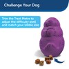 PetSafe Busy Buddy Squirrel Dude, Interactive Treat Dispensing Dog Toy