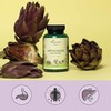 Organic Artichoke Vegavero® | 6500mg (10:1) Artichoke Extract High Strength