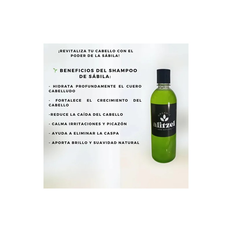 Shampoo Alitzel De Sábila 100% Orgánico