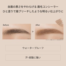 ettusais Eye Edition Brow Concealer Beige Eyebrow Concealer Waterproof 0.2 oz (6 g)