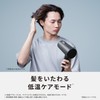 Panasonic EH-NE5M-H Dryer, Negative Ion, Quick Drying, Large Airflow, Dark
