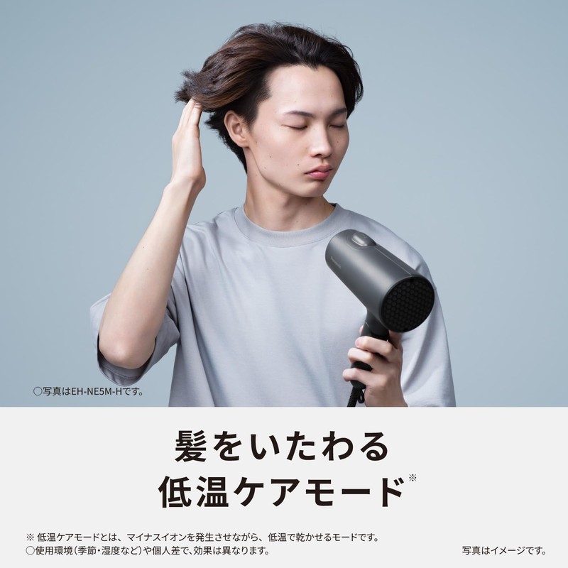 Panasonic EH-NE5M-H Dryer, Negative Ion, Quick Drying, Large Airflow, Dark