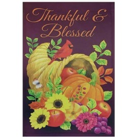 Rain or Shine THANKFUL & BLESSED Garden Flag 12.5" X 18" Printed on both sides