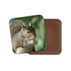 1 x Wild Squirrel Coaster - Nature Wildlife Animals Woods