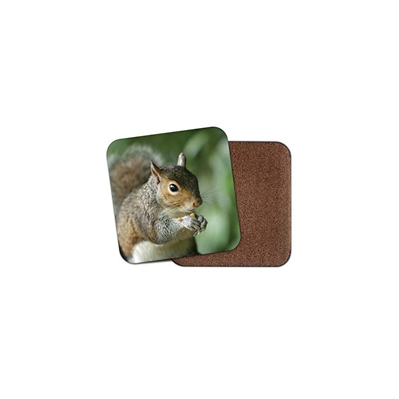 1 x Wild Squirrel Coaster - Nature Wildlife Animals Woods