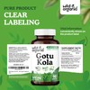 Wild & Organic Gotu Kola Capsules 600 mg - Brain