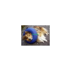 Collar Inflatable PVC Buster Small 1D Cruuse