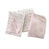 Hearts and Stripes Organic Cotton Reversible Blanket
