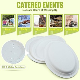 LR Eco Natural BA2617-30 Sugarcane Bagasse Oval Disposable Plates, 26 x 20 cm (600 Pieces Set)