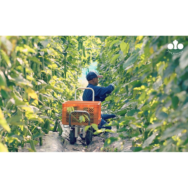 丹波 Beans Brown, Supplements 180 Grain Set A