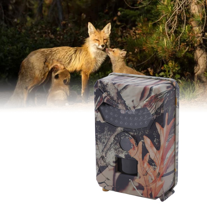 HD Infrared Camera IP56 Waterproof 20MP Picture 1080P Video Trail