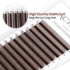ACTROL W 4D Eyelashes Extension Lashes Brown C Curl 0.07mm