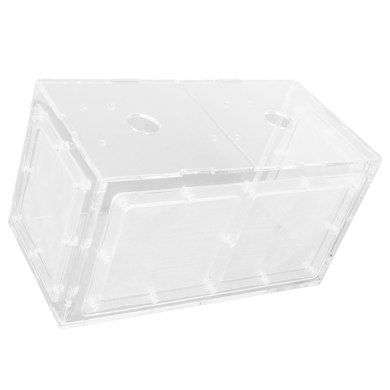 Fish Breeding Isolation Box Transparent Mesh Side Fish Tank Incubator