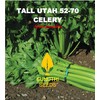 Celery Seeds, 200+ Tall Utah 52-70, Heirloom, Non GMO Seeds,