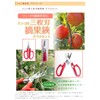 Cactus 3 Piece Blade 摘果 Shears No. (A Little Bit