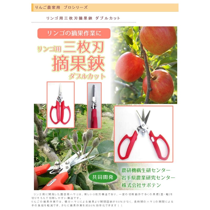 Cactus 3 Piece Blade 摘果 Shears No. (A Little Bit