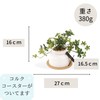 Kishima KH-61254 Artificial House Plants, Fake Green, Artificial Plants, Never