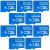 Everything But Stromboli 8GB MicroSD Memory Card Plus Adapter (10