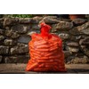 Large Hanging Mesh Storage Net Bags for Vegetables – Log