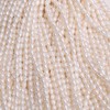 Natural Rice Freshwater Pearl Beads 2-3mm White Loose Pearls, 0.5mm