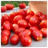 Everwilde Farms - 1 Lb Roma Tomato Seeds - Gold