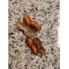 Boil-The-Bag Peanuts Boiled Peanuts: Porter's (almost famous) Boil-The-Bag Peanuts [4