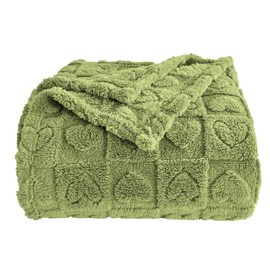 GIOKARNNA Heart Checkered Throw Blankets, for Love Mother Friends Pets,280 GSM Super Soft Warm Lightweight Fluffy Bed Blanket for Women Anniversaries(Sage Green,60"x80")