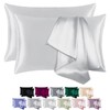 BEIJOEY 100% Mulberry Silk Pillowcase 2 Pack for Hair and