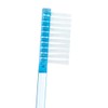 Adult Pre-Pasted Disposable Toothbrushes - 720 per pack