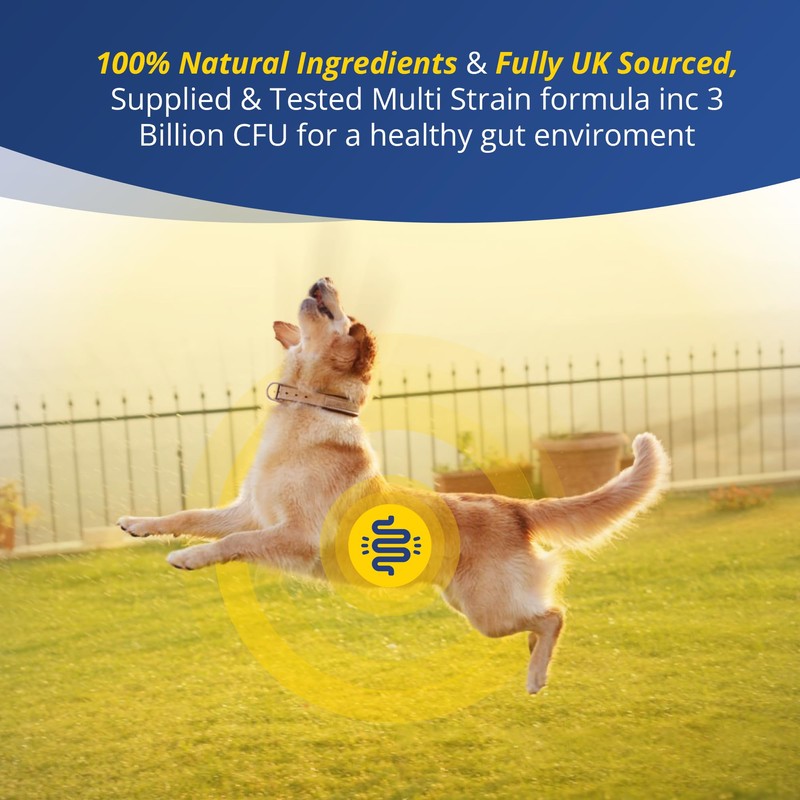 Zanipro Dog Diarrhea Treatment, Prebiotics & Probiotics for Dogs, Advanced