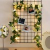 Urban Shop Rose Vine Photo Clips with Lights, Green
