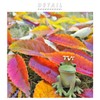 Kopo 79205 Reading Frog, Width 2.2 x Depth 2.2 x