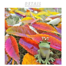 Kopo 79205 Reading Frog, Width 2.2 x Depth 2.2 x Height 2.2 inches (5.5 x 5.5 x 5.5 cm)