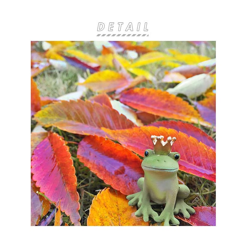 Kopo 79205 Reading Frog, Width 2.2 x Depth 2.2 x