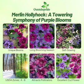 Outsidepride Merlin French Hollyhock Seeds - 50 Pcs Perennial Violet, Purple, Mauve, & Blue Heirloom, Long-Blooming Flower Seeds with Semi-Double Blooms for Cottage Gardens & Cut Flowers